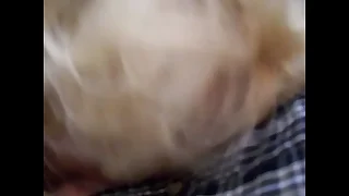 mature bj from a fade blonde milf